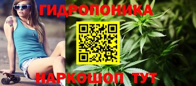крисы Кинель
