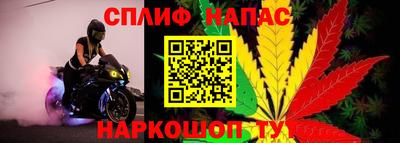 a pvp Кингисепп