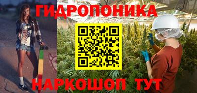 крисы Кинель