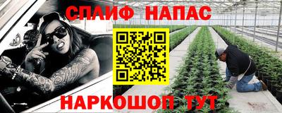 a pvp Кингисепп