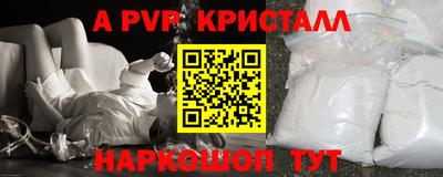 a pvp Кингисепп