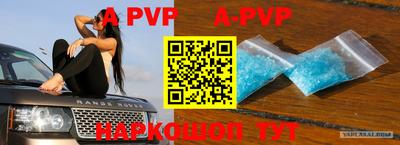 a pvp Кингисепп