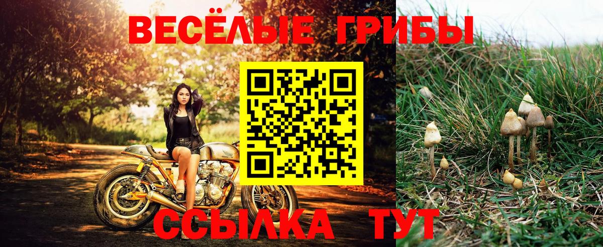 Красногорск  Псилоцибиновые грибы MAGIC MUSHROOMS  Вход с VPN 